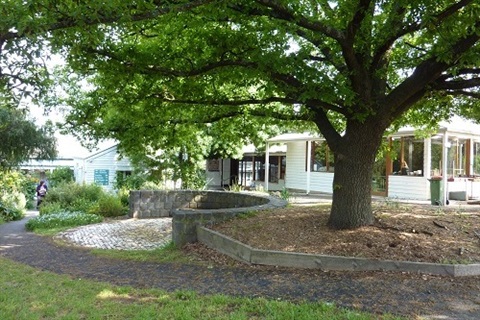 Eltham centre with oak tree