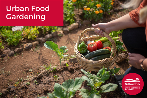 Urban Food Gardening web tile.png